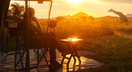 Watching wildlife from tent
