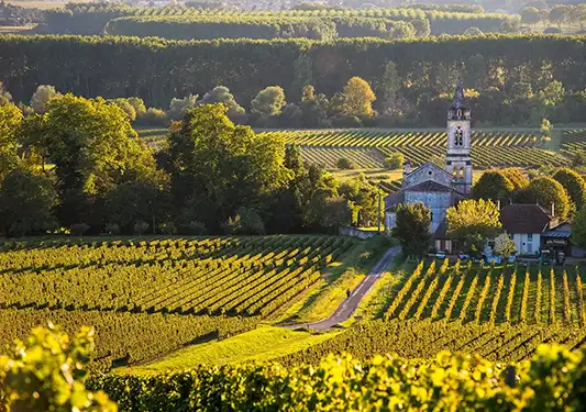 A french church in a vineyard. (c)Backroads
