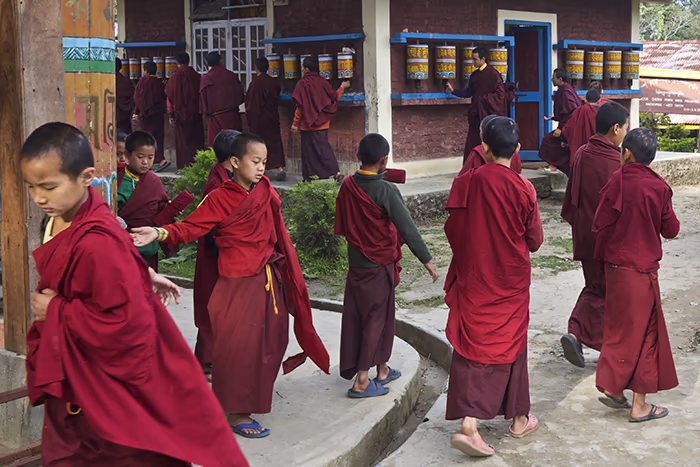 Group of young monks