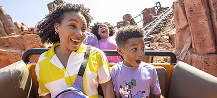 A family on a roller coaster