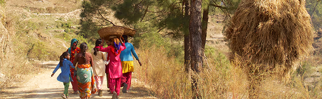 Villagers walking a road in India