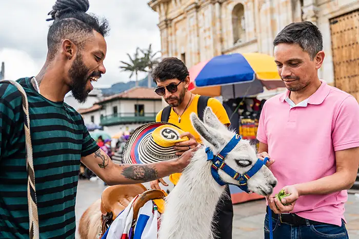 LGBTQIA+ friends petting and feeding a llama during a travel in Colombia