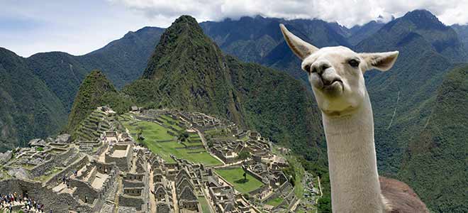 Adventure Vacations (Machu Picchu)